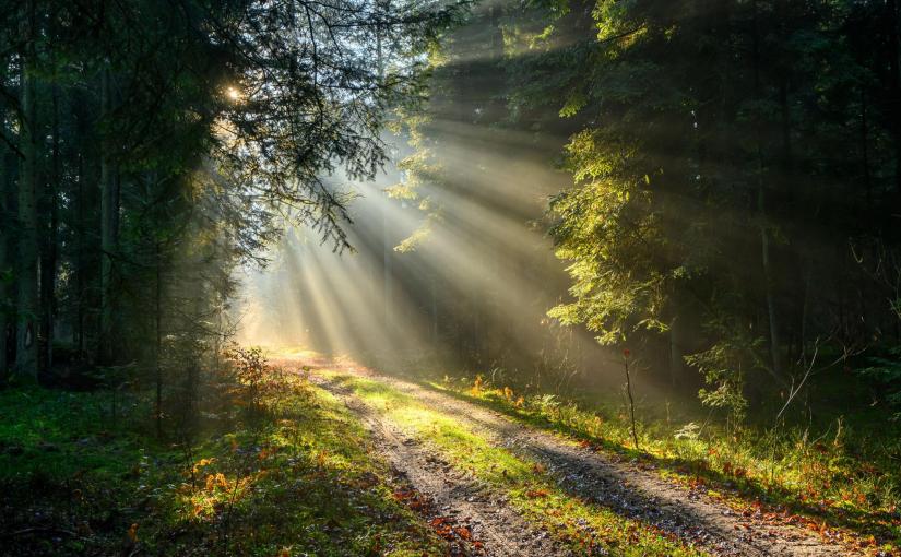 Welcome to Notes From&nbsp;Stillness